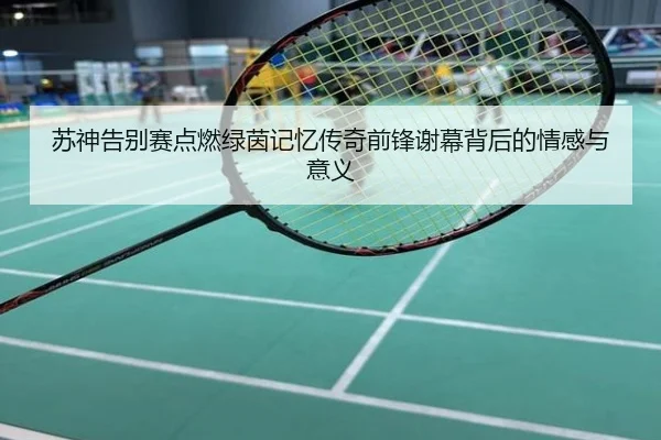 苏神告别赛点燃绿茵记忆传奇前锋谢幕背后的情感与意义
