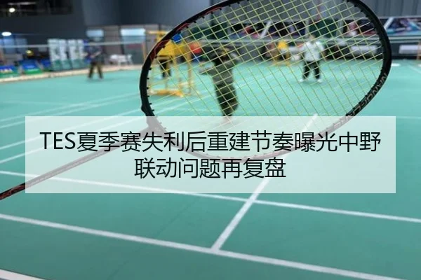 TES夏季赛失利后重建节奏曝光中野联动问题再复盘